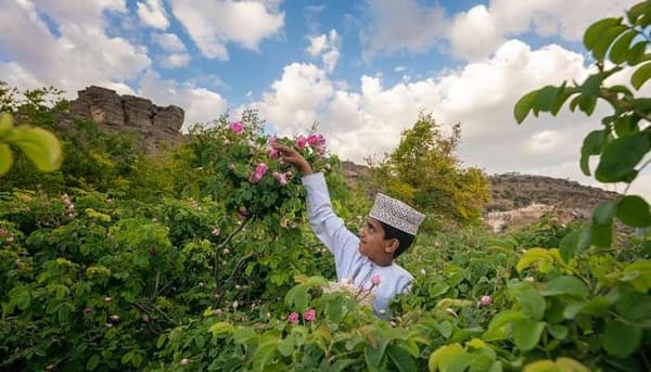 Al Dakhiliyah Sees Surge in Tourists Visiting Heritage Sites
