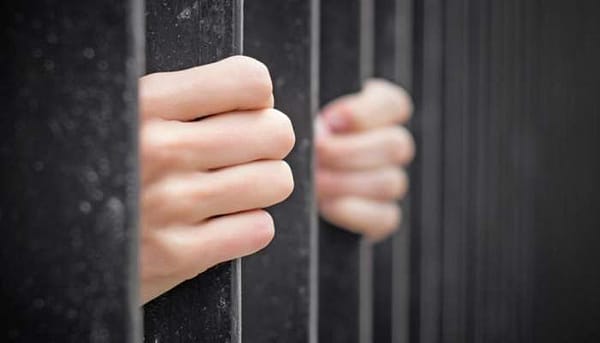 Royal Oman Police Enforce Traffic Laws and Solve Theft Cases