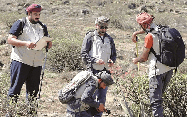 Oman’s Researchers Take Urgent Action to Save Endangered Wild Plants
